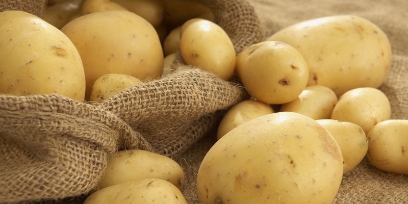 boiled-potatoes
